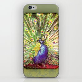 Peacock iPhone Skin