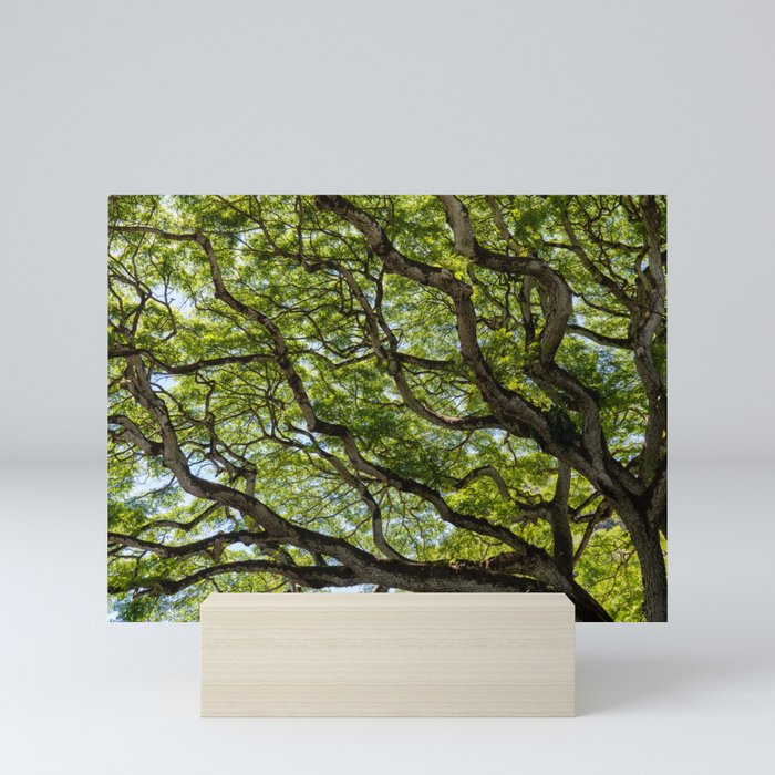 river of branches Mini Art Print