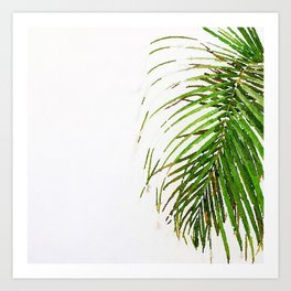 Palm Frond on White Wall Art Print | Painting, Palm, Floriage, Watercolor, Tropical, Digital, Green, White 