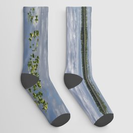 Tranquility At Its Best 2 - Alaska Socks