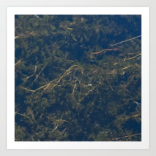 Underwater 01 Art Print
