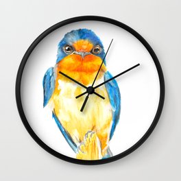 Barn Swallow - Andorinha - orange and blue - bird - illustration Wall Clock