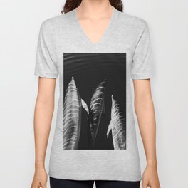 Zebra dolphins V Neck T Shirt