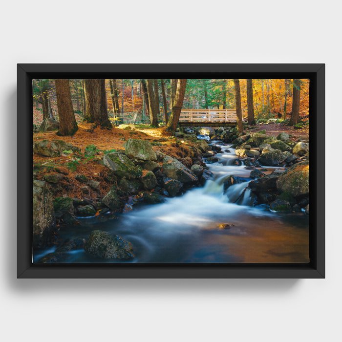 Stream Framed Canvas