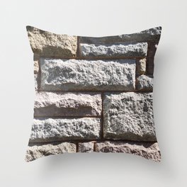Stone Cladding Throw Pillow