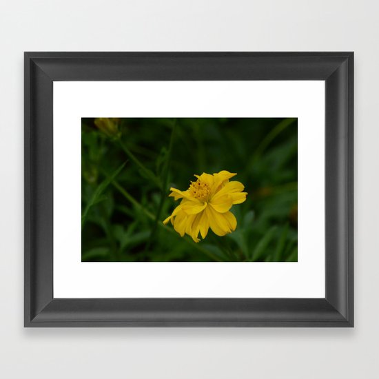 Yellow Summer Flower Framed Art Print