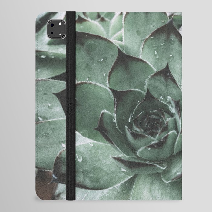 Botanical No. 17 Moody Succulent Photography iPad Folio Case
