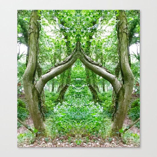 Wizard's Arch Canvas Print