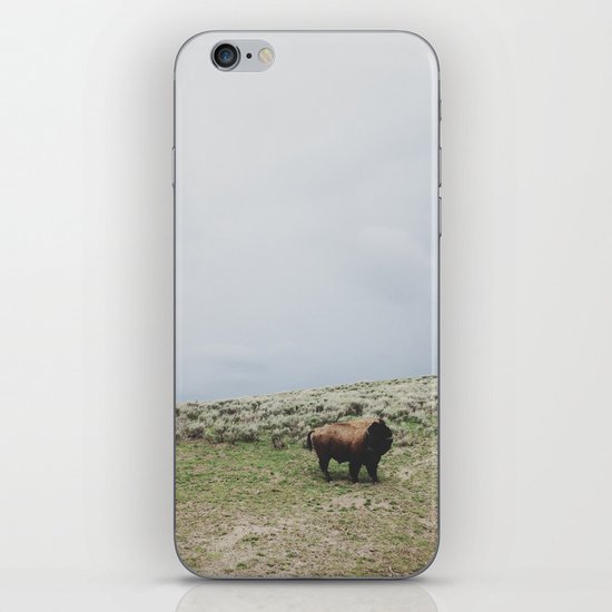 Hillside Bison iPhone & iPod Skin