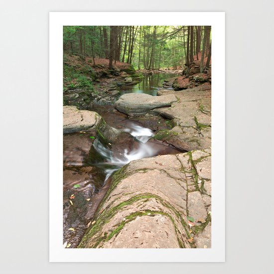 Worlds End Forest Stream Art Print