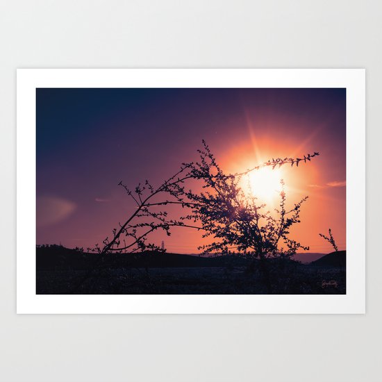 Catching the Moment (Coral Orange Sunset, Dark Violet sky) Art Print