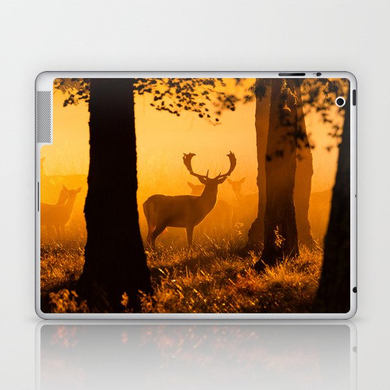 Deer in a danish forest Laptop & iPad Skin