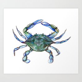 Maryland Crab Art Print