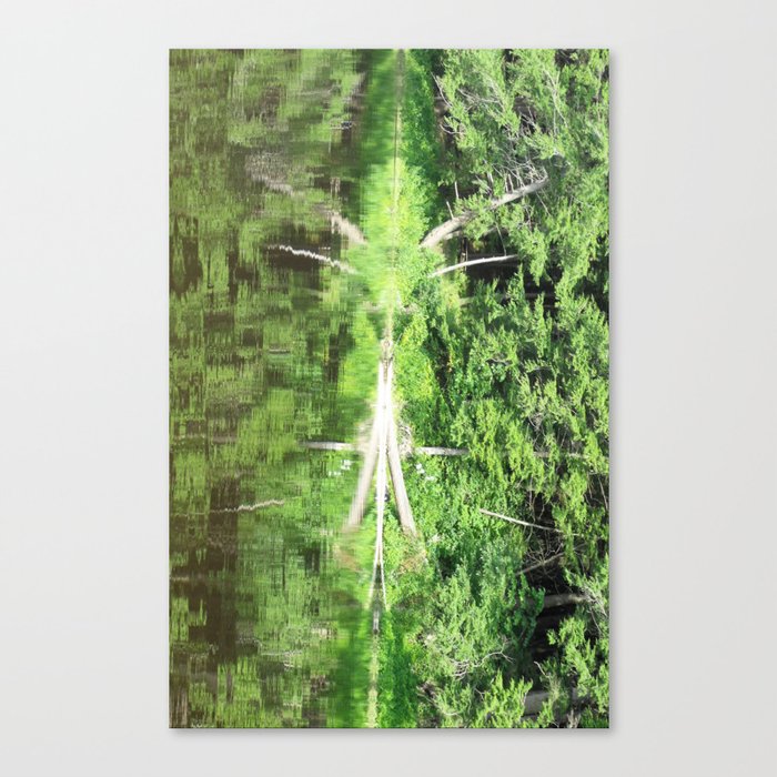 With arms Outstretched Canvas Print