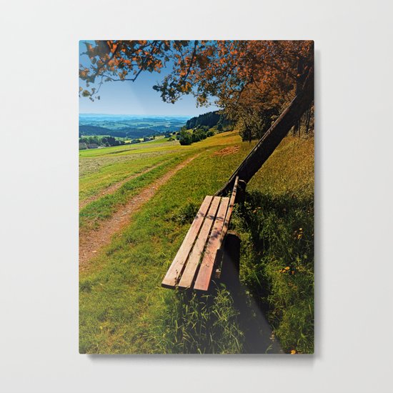 The bench and the summer Metal Print
