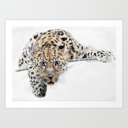 Local Eyes 'Leopard' Art Print