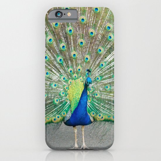 Coat of Many Colors iPhone & iPod Case
