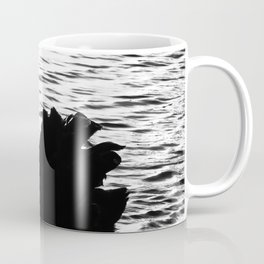 Beautiful Black Swan a Swanning in Water Black and White   Coffee Mug