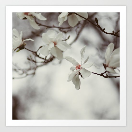 Where There is Wind Art Print