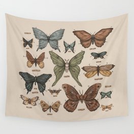 Butterflies and Moth Specimens Wall Tapestry