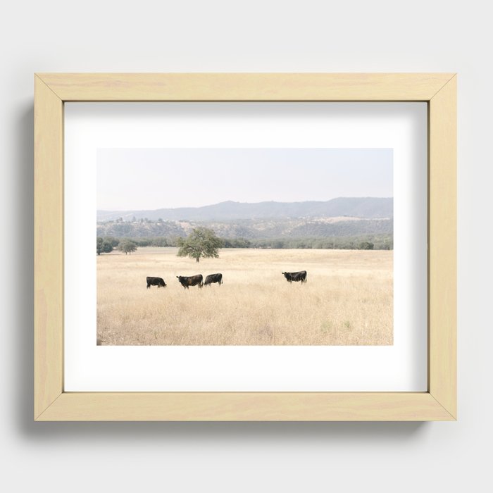 The Fields of Paso Robles - California Wine Country Recessed Framed Print