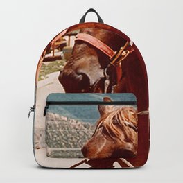 Townes on a Horse Backpack