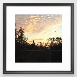 Sunset Bird in The California Sky Framed Art Print