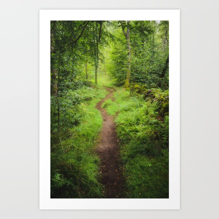Green Forest Path Art Print