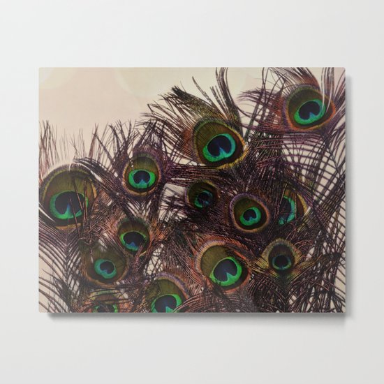 Peacock Feathers Metal Print