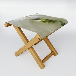 Focus6 Folding Stool