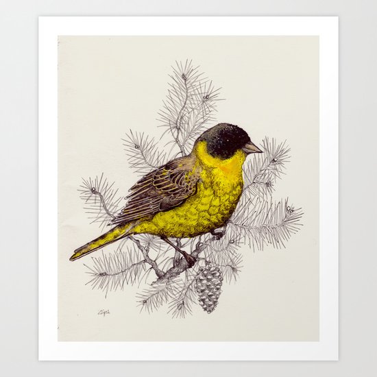 birds Edition Art Print