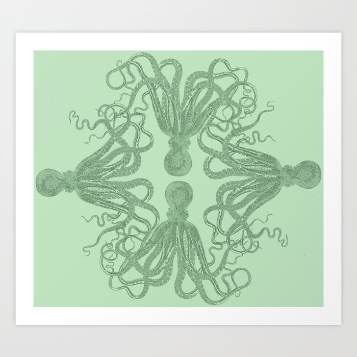 Squid 4 Art Print