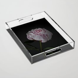 Fresh soft pink peony Acrylic Tray