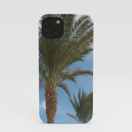 N.A. Palm 2 iPhone Case