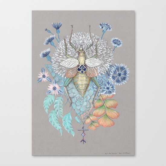 Beetle Canvas Print
