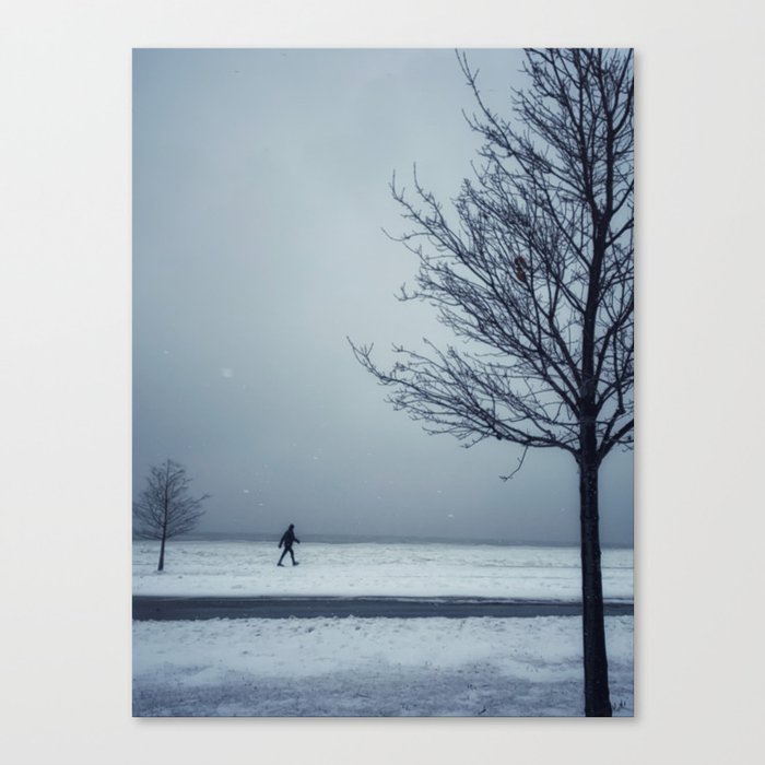 A Walk Through The Snow Canvas Print
