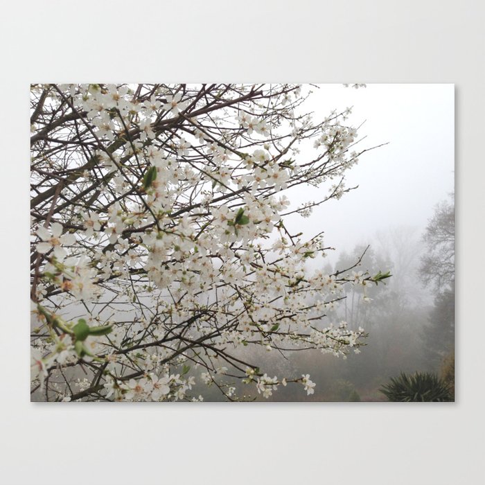 Fog Blossom Canvas Print
