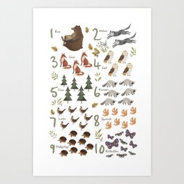 Woodland forest numbers - matches alphabet, for kids / children Art Print