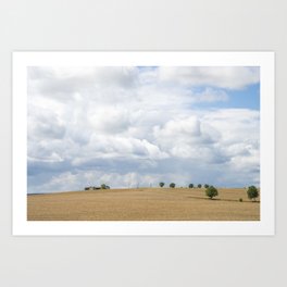 Farmfields in Tuscany, Ital;y - summer landscape - travel photography  Art Print