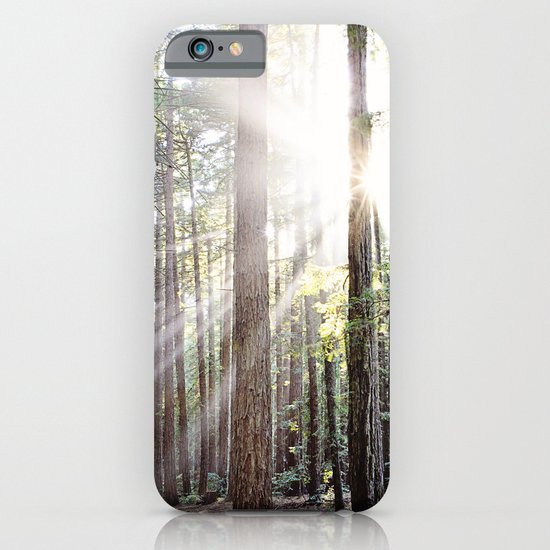 Sunburst Through the Redwoods iPhone & iPod Case