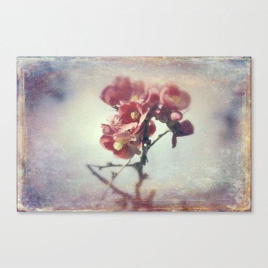 I dreamed a flower garden Canvas Print