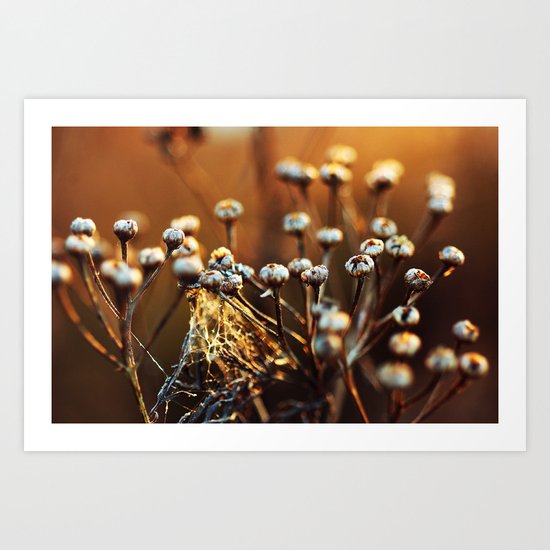 Skagit Winter Life Art Print