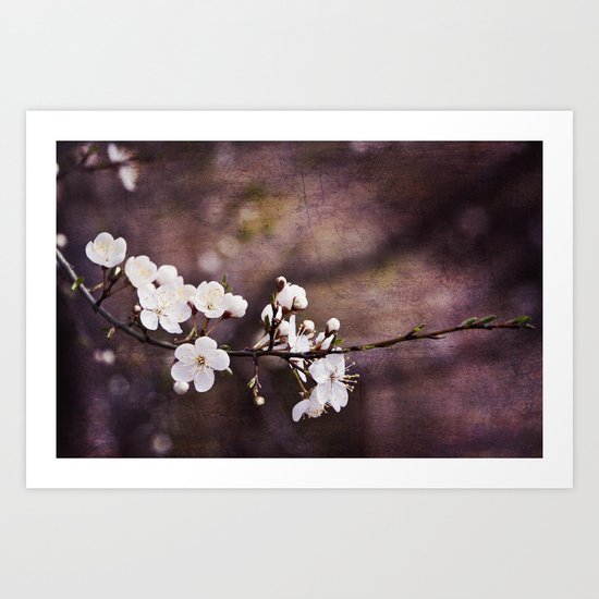 Purple Spring Art Print