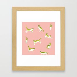 Summer Cats Framed Art Print