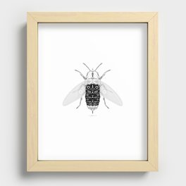 entomology 03. (iii) Recessed Framed Print