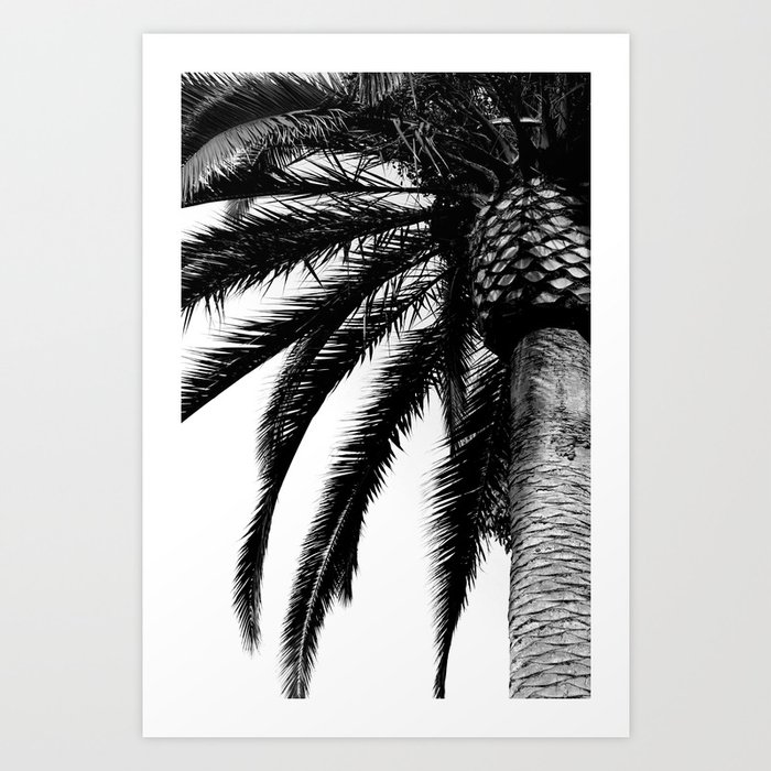 Palm Trees #137 Art Print