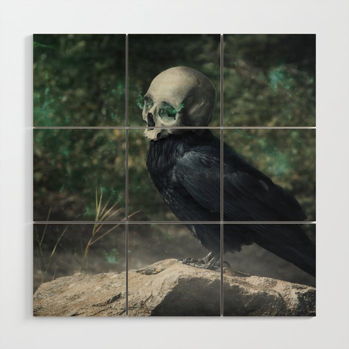 The Skull Bird, Graphic Design, Nature, Wildlife Wood Wall Art