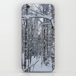 Winter Forest iPhone Skin