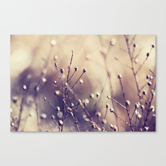 Points of Light Canvas Print