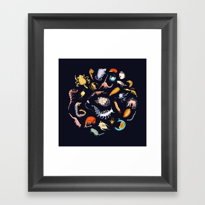 Plankton Framed Art Print